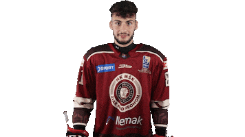 HK MŠK Žiar nad Hronom Sticker