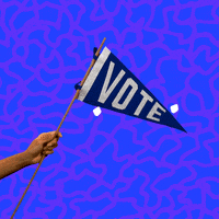 Voting Rights Reaction GIF by Hello All