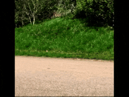 raymondbatsford cycling GIF