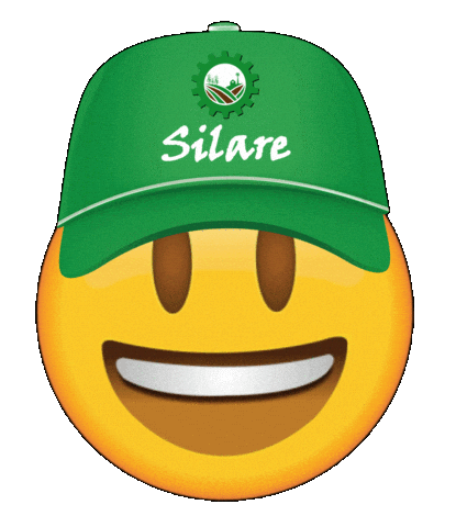 Silare Sticker