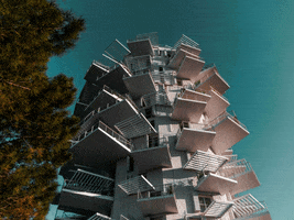 200.gif?cid=fc005b083043c1487e1186c4be27b7046405950bd3fdeb3a&rid=200.gif&ct=g