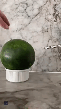 DIY Enthusiast Whips Up Tasty Summer Cocktail Using Watermelon and Electric Drill