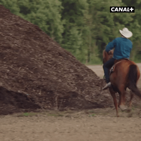 giphy.gif?cid=ecf05e4759kyak9dv37c6cdj6becj7189m1jzk07am54e193&rid=giphy.gif