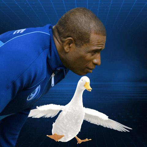 Aflac CFB 2022 Stickers and Gifs GIFs on GIPHY - Be Animated