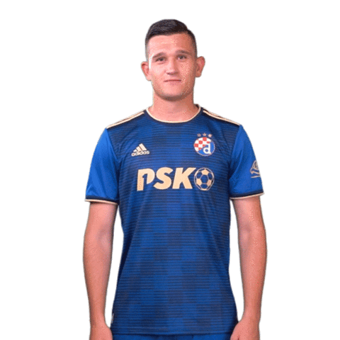 Football Soccer Sticker by GNK Dinamo