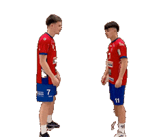 Sui Sticker by hsg swrd