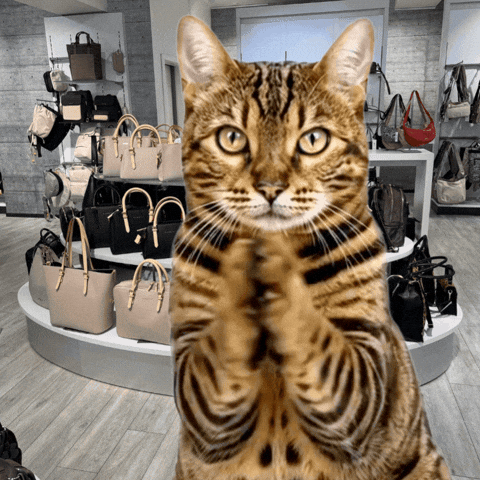 Well Done Applause GIF by Kitty Fuchs