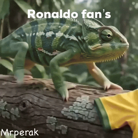 Lionel Messi Argentina GIF