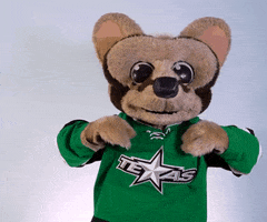 Lets Go Reaction GIF by Texas Stars Hockey