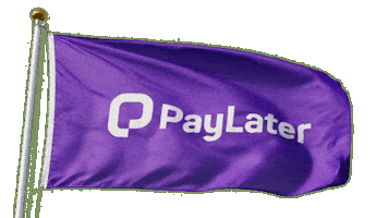 Shopping Buy Now Pay Later Sticker by PayLater