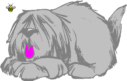 doggie