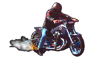 Rodrigo custom studio Sticker