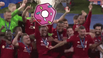Celebrate Liverpool Fc GIF by DONUTs