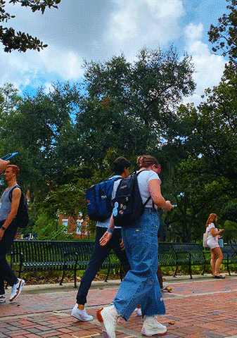 First Day Students GIF by University of Florida
