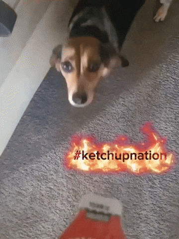Molly GIF