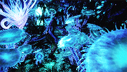 GIF uploaded by Remy