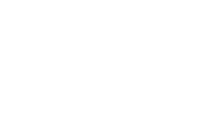 Macaw Brasil Sticker