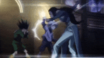Hunter X Hunter Fighting GIF