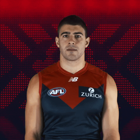 melbourne football club yes GIF by Melbournefc
