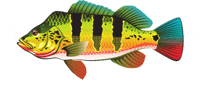 navarroguilherme Sticker