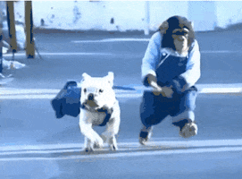 dog running GIF