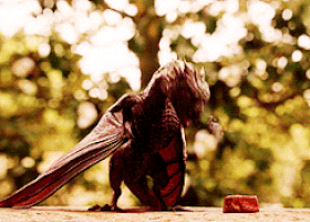 dragons mother GIF