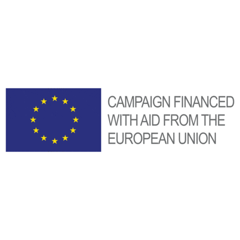 European Union Summer Sticker by Clink Different