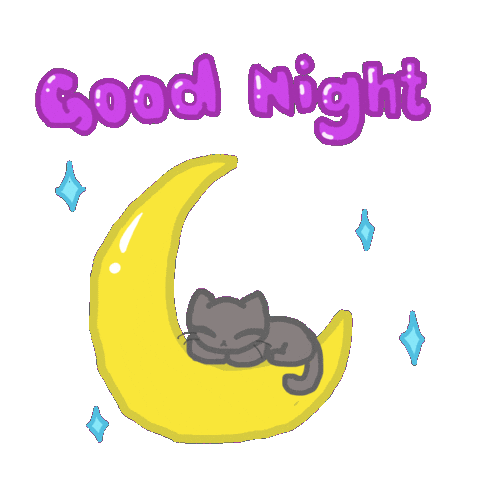 Good Night Cat Sticker