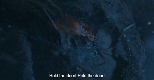the young pope page GIF