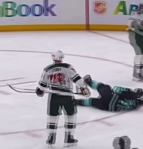 Minnesota Wild Hockey GIF