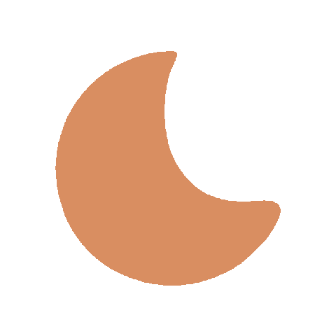 Orange Moon Sticker by Apo