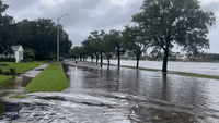 Florida Man Performs a Wheelie While Biking Down Flooded Tampa Road