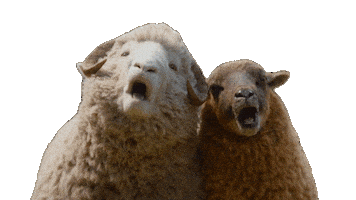 Sticker by The Sheep Detectives