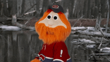 Well Done Yes GIF by Canadiens de Montréal