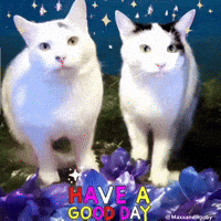 Have A Good Day GIF