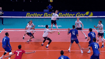 Lets Go Wow GIF by Volleyball World