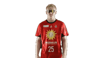 Handball Tusn Sticker by tusnluebbecke