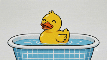 GIF by Duckshop