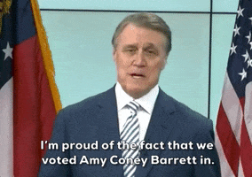 David Perdue GIF by Election 2020