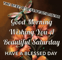Day Wishing GIF by The Seed of Life Foundation