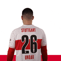 VfB-vfb-stuttgart-1893-ByHUDlCM2pPXhZ0Owq