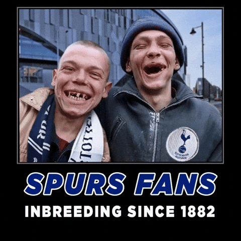 Premier League Football GIF