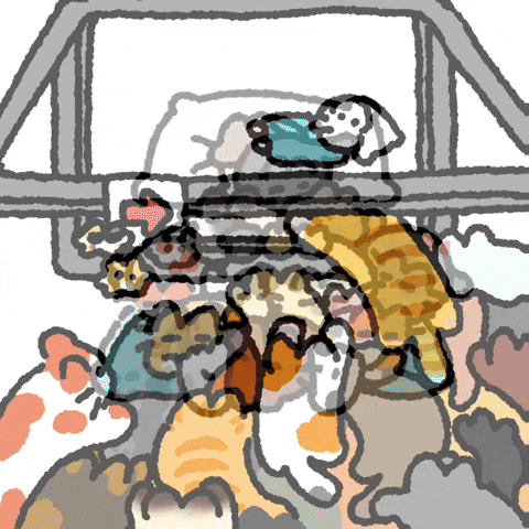 고양이 Treatment GIF