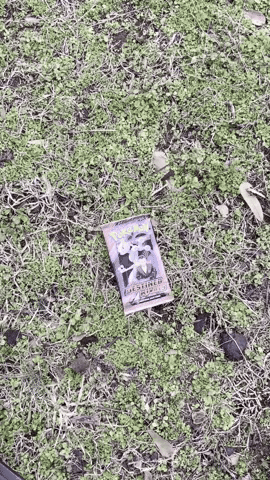 Trading Cards What GIF