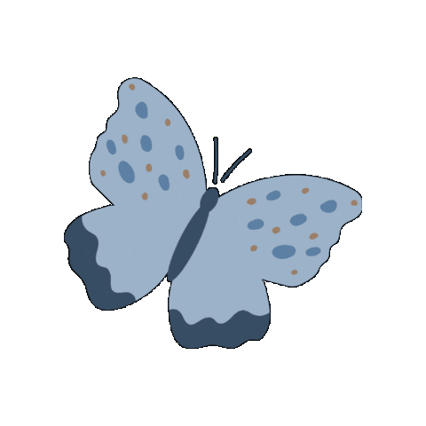 Costa Rica Butterfly Sticker by Vajra Jahra Villas & Retreat Center