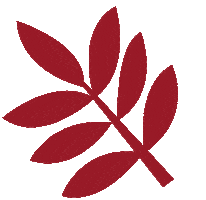 Plant Sticker