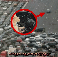 Traffic Jam Funny Cat GIF