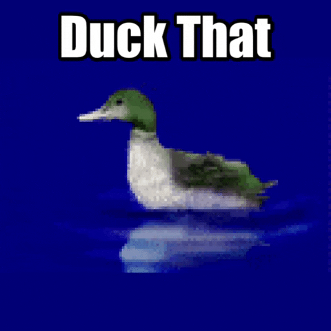 Duck Forget That GIF by 2Libras