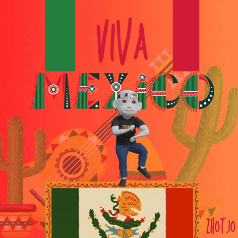 Cinco De Mayo Mexico GIF by Zhot
