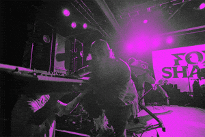 Excited Foxy Shazam GIF by wade.photo